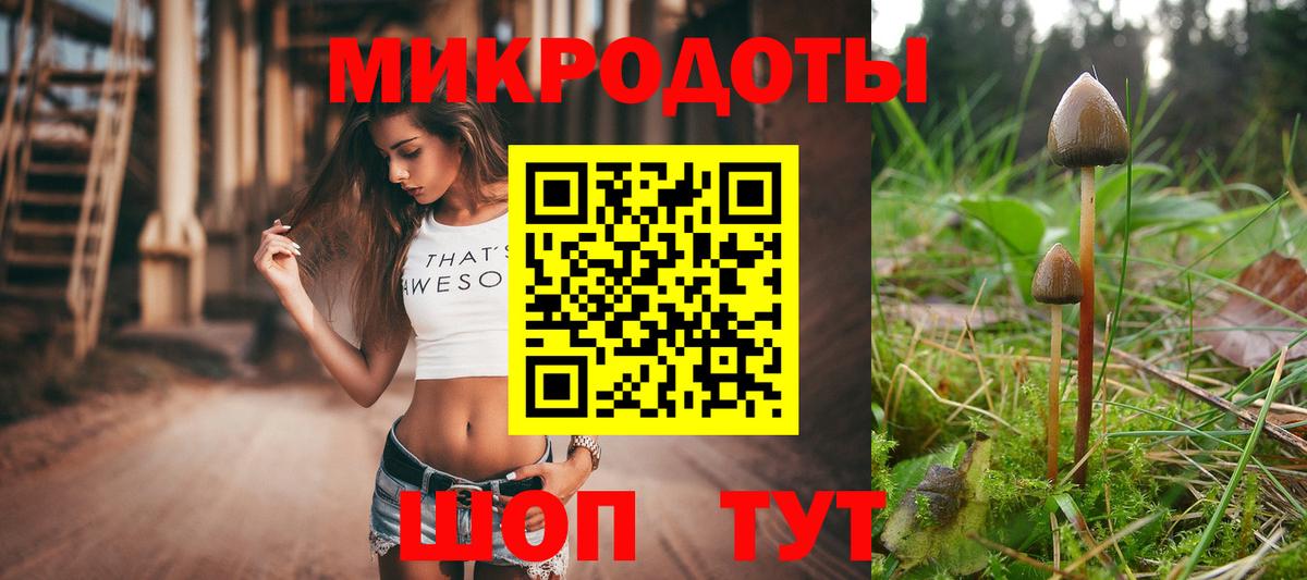 Камышлов  Галлюциногенные грибы MAGIC MUSHROOMS  Вход с VPN  Псилоцибиновые грибы GOLDEN TEACHER 