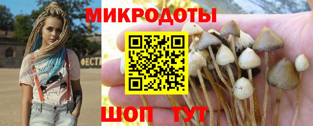 Псилоцибиновые грибы Magic Shrooms Камышлов